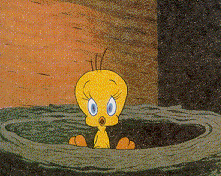 tweety1.gif (28579 bytes)